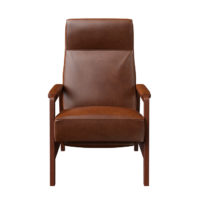 15102 Oxford Recliner